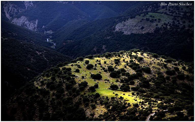 Apartamentos Turisticos Rurales Monte De Las Animas Valdepenas de Jaen Exterior foto