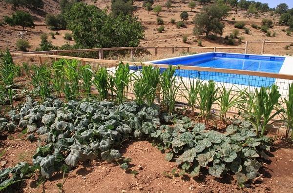 Apartamentos Turisticos Rurales Monte De Las Animas Valdepenas de Jaen Exterior foto